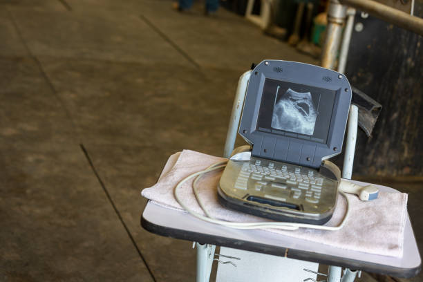 Ultrasound scanning equipment